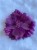 bedc33b2500f59e9b69cfb58826d8a94