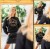 079eff673a6050a352efaf0a2658cbcc