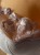 51785cb9b0ed2ffac575de4d145fc42d
