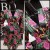 8e385a491ab27e01cdce6c4eebec8c38