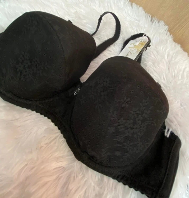 cd7b3320c0285106ddd3e4bc092ea2d4