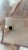 6e568af90a5346df00c0df0fea50b698