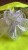 0ddb44849e22cb638eb7b5de7717156c